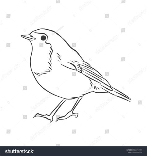 10,332 Robin Drawing Images, Stock Photos & Vectors | Shutterstock