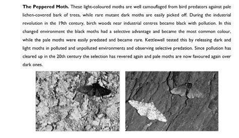 Pin on Evolution and Natural Selection