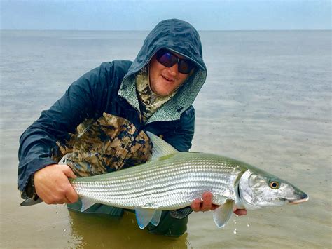 Despite the weather being gloomy and rainy, we scored on some nice Molokai Bonefish today. Cam ...