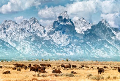 The 18 Best Things to Do in Wyoming