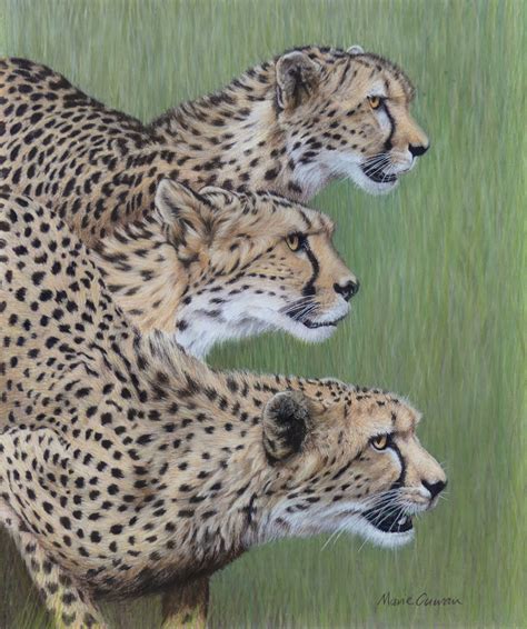 SPOTTED - Africa Wildlife Art