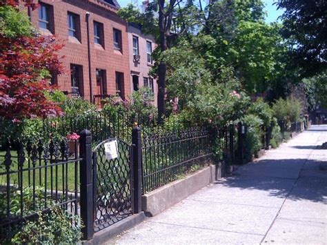 Carroll Gardens, Brooklyn | Carroll gardens, Visiting nyc, Garden