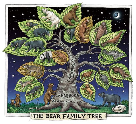 The Bear Family Tree - Anchorage Museum at Rasmuson Center