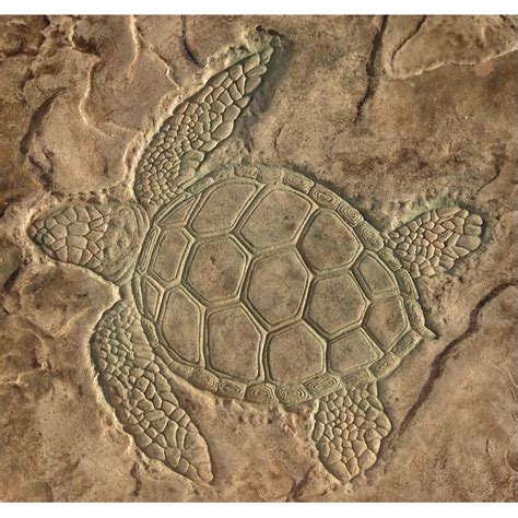 Decorative Concrete Stamp Sea Turtle Overhead View