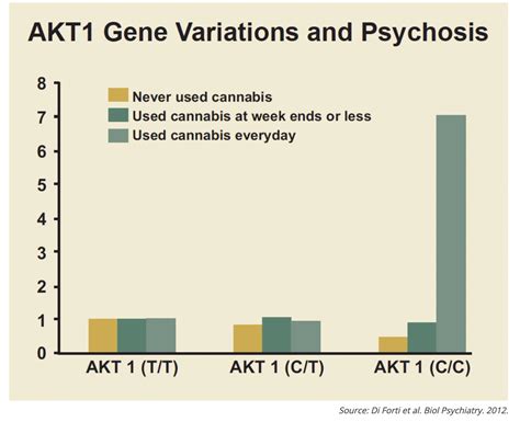 Understanding the Link Between Marijuana and Psychosis - NWPrevention