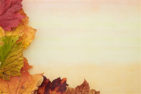 Fall Harvest Background Royalty Free Photo