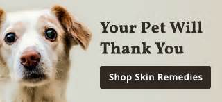 Dog Skin Allergies Home Remedies - All You Need Infos