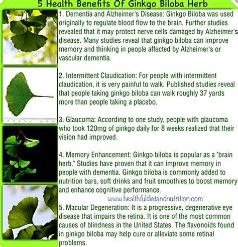 ginkgo herb benefits – ginkgo biloba benefits and risks – Aep22