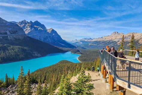 15 Things I wish I knew BEFORE Visiting Peyto Lake