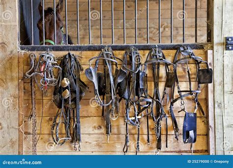 Harness Racing Equipment Stock Photo - Image: 25279000