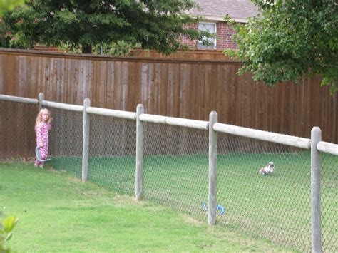 Temporary Dog Fence Ideas With 5 Type Easy Dog Fence