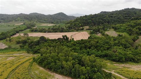 Drone shot aerial view scenic landscape of agriculture farm at ...