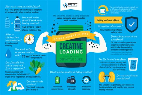 Creatine Loading: A Definitive Guide (LATEST RESEARCH 2019) » Vegan Nutrition, Optimum Nutrition ...