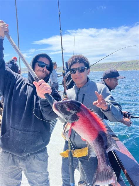 Eldorado Sportfishing Fish Report