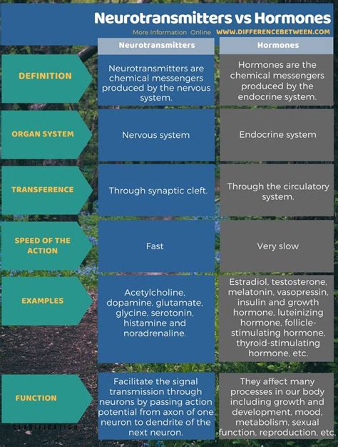 Difference Between Neurotransmitters and Hormones in Tabular Form | Pharmacology nursing, Brain ...