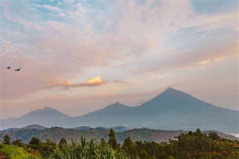 Hiking mount Karisimbi- How much are Mount Karisimbi hiking permits