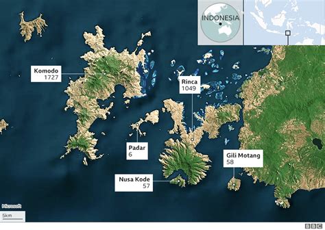 Prohibirán turismo en Isla de Komodo para proteger a dragones