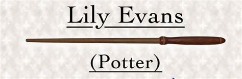 Harry Potter Wands List: Type & Meaning for All 34 of Them