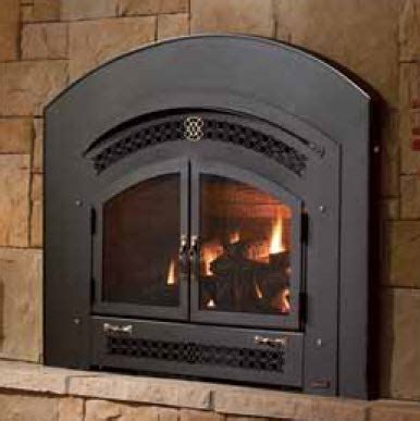 Gas Fireplace Insert Brands – Mriya.net