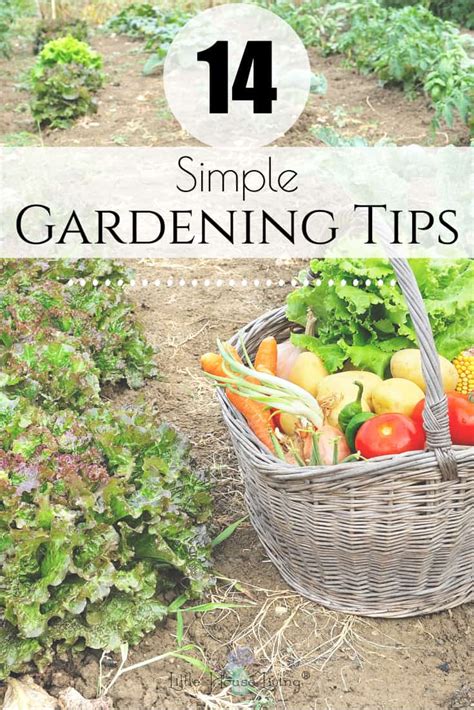 14 Simple Gardening Tips - Tips to Help Your Garden Thrive