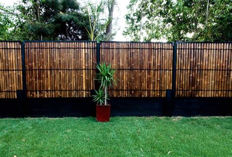 Bamboo Fencing Garden — All In One Fencing Ideas : Make a Trendy ... | Bamboo garden fences ...