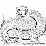 Snake Coloring Pages  Free & Printable sketch template