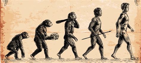 67 Interesting Facts about Evolution | Fact Retriever