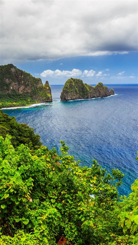 Download wallpaper sea, jungle, plants, islands, section nature in resolution 1080x1920