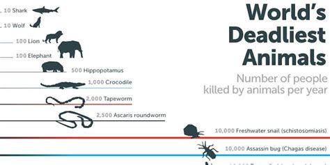 Bill Gates Mind-Blowing Infographic Mosquitoes - Business Insider