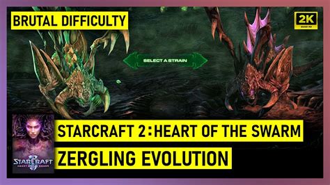 Starcraft 2: Heart of the Swarm - Zergling Evolution - Brutal ...