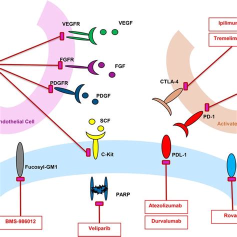 Completed immunotherapy clinical trials in ES-SCLC | Download ...