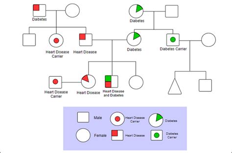 Simple Genogram Examples and Templates Free to Download