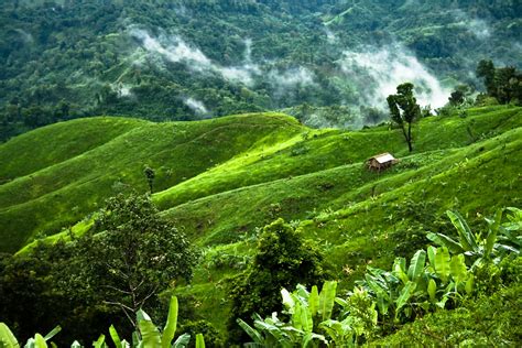 Bandarban: The Land of Wonder (Chimbuk, Bandarban, Banglad… | Flickr