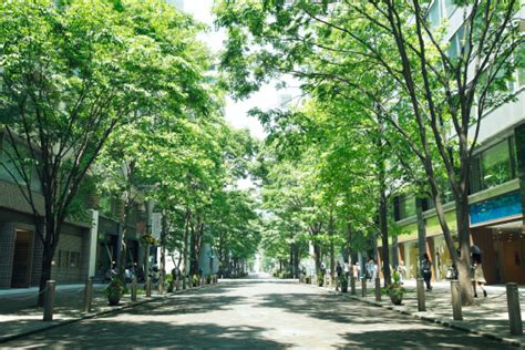 Sightseeing Spots | MARUNOUCHI AREA GUIDE