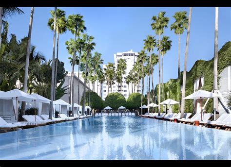 Miami's Best Hotel Pools (PHOTOS) | HuffPost Miami