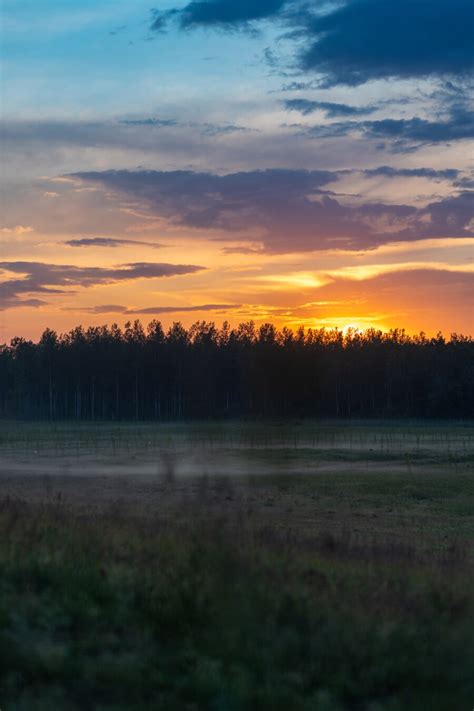 Безкоштовна картинка: сутінки, сонячні промені, величний, силует, ліс ...