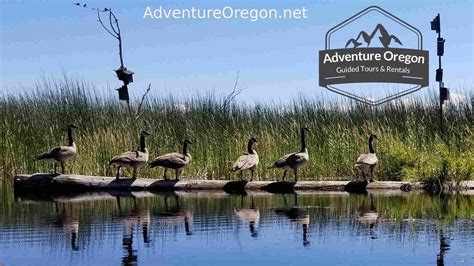 Upper Klamath National Wildlife Refuge | Oregon Adventures | Adventure Oregon | Klamath Falls ...