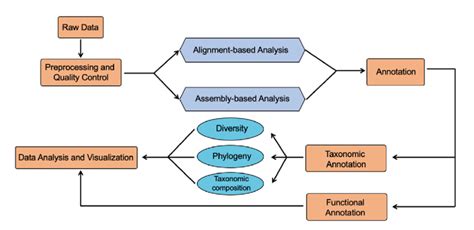 Shotgun metagenomic sequencing data analysis pipeline. | Download Scientific Diagram