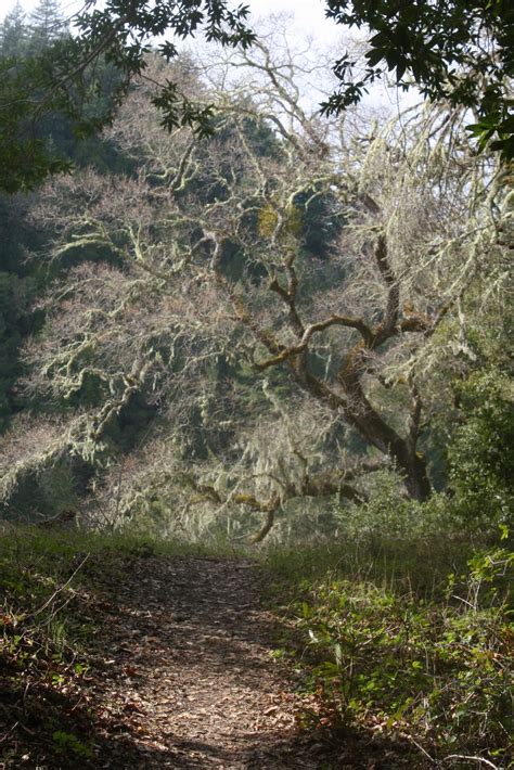 My Romantic Home: Hiking around Northern California