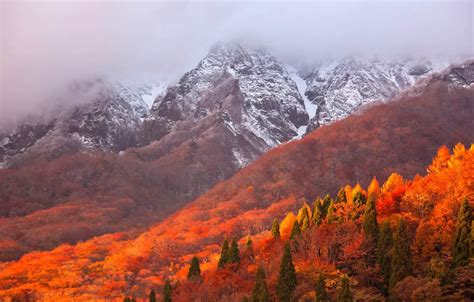 Wallpaper autumn, mountains, Japan images for desktop, section пейзажи ...