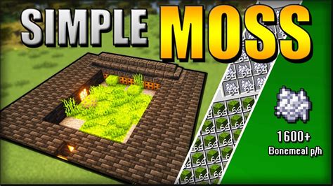 SIMPLE MOSS/BONEMEAL FARM TUTORIAL 🍀 (Easy Redstone) | Minecraft 1.19+1 ...