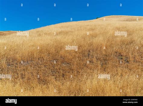 Fort Ord National Monument Stock Photo - Alamy
