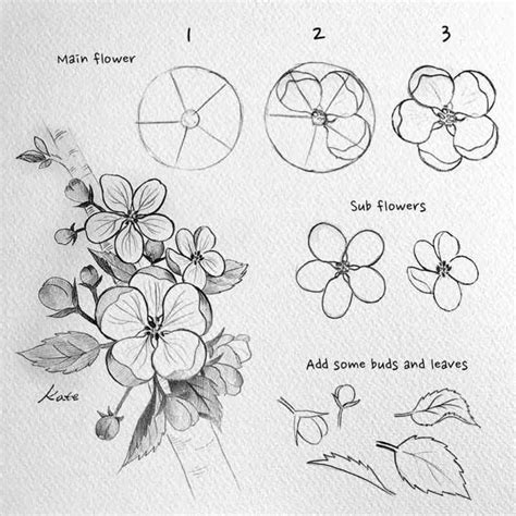 How to draw flowers for beginners? 87 | Flower art drawing, Flower ...