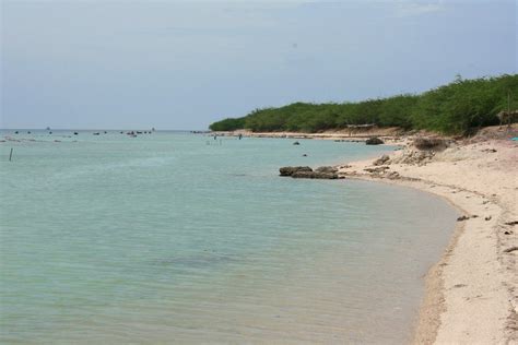 Rameshwaram Beach: Popular Beach In Tamilnadu | Holiday Landmark