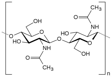 Polysaccharide: Definition & Examples - Video & Lesson Transcript ...