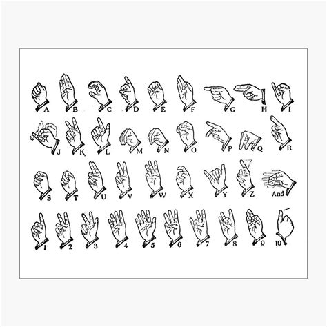 American Sign Language Alphabet – Lindsay Letters® Sign Language Letters, Alphabet Signs ...