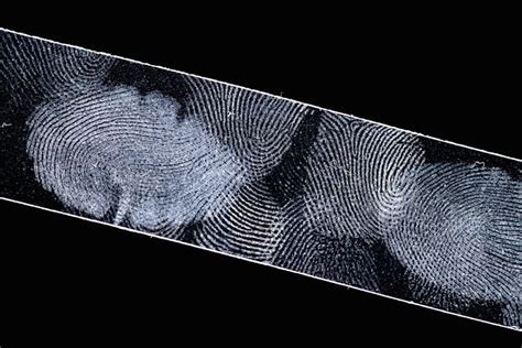 We've discovered a way to recover DNA from fingerprints without destroying them