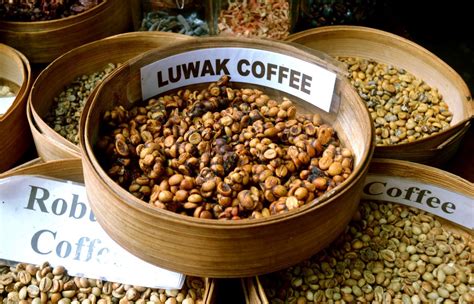 Bali Coffee Plantations | Luwak Coffee - Places to Visit