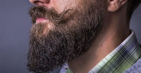 Ducktail Beard Types, Growing & Grooming Tips | Man Matters