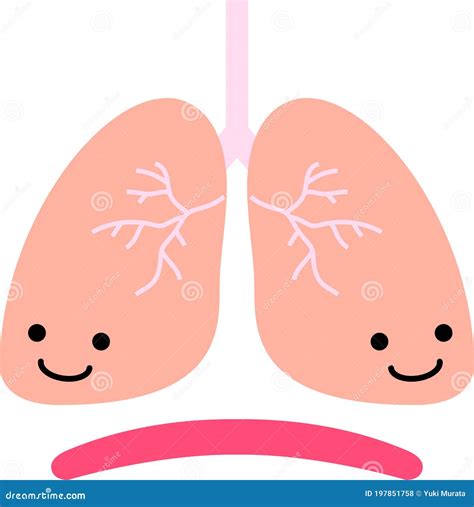 Illustration of a Cute Lung and Diaphragm Stock Vector - Illustration of trachea, viscosity ...